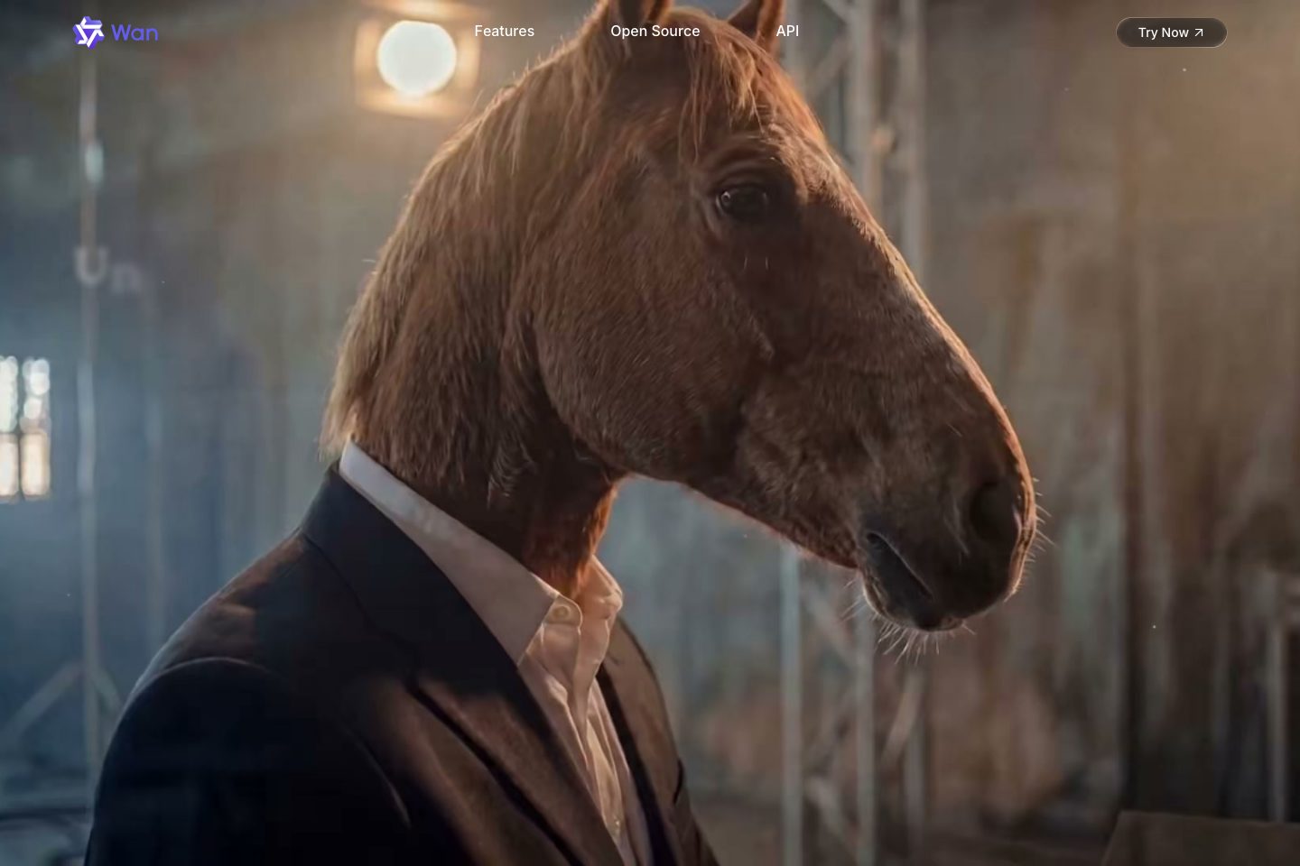 wan.video poster